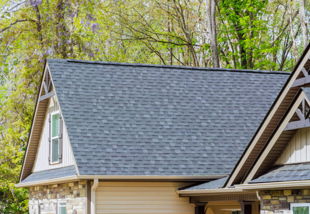 Best Roof Moss and Algae Removal  in Monson Center, MA